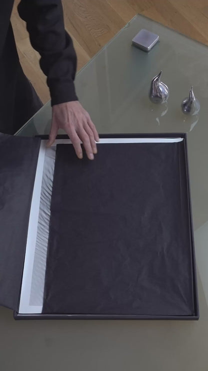 Fear is a darkroom (plate 0317)