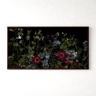 Riverbrook with peony by Alexander James Hamilton, analogue photograph produced through water and light, unique work, no digital post production
