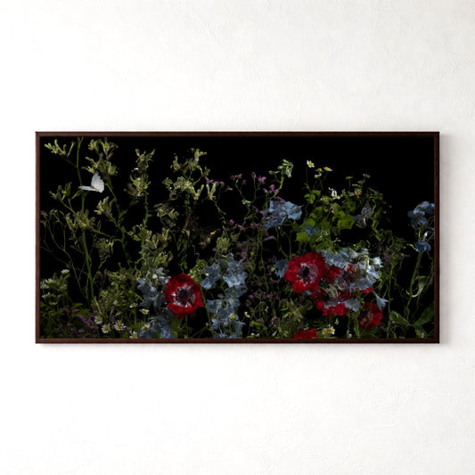 Riverbrook with peony by Alexander James Hamilton, analogue photograph produced through water and light, unique work, no digital post production
