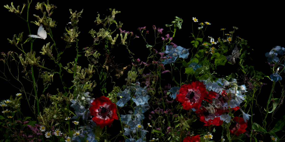 Riverbrook with peony detail by Alexander James Hamilton, analogue photograph produced through water and light, unique work, no digital post production