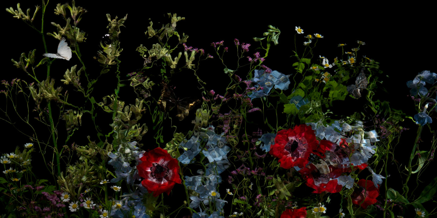Riverbrook with peony detail by Alexander James Hamilton, analogue photograph produced through water and light, unique work, no digital post production