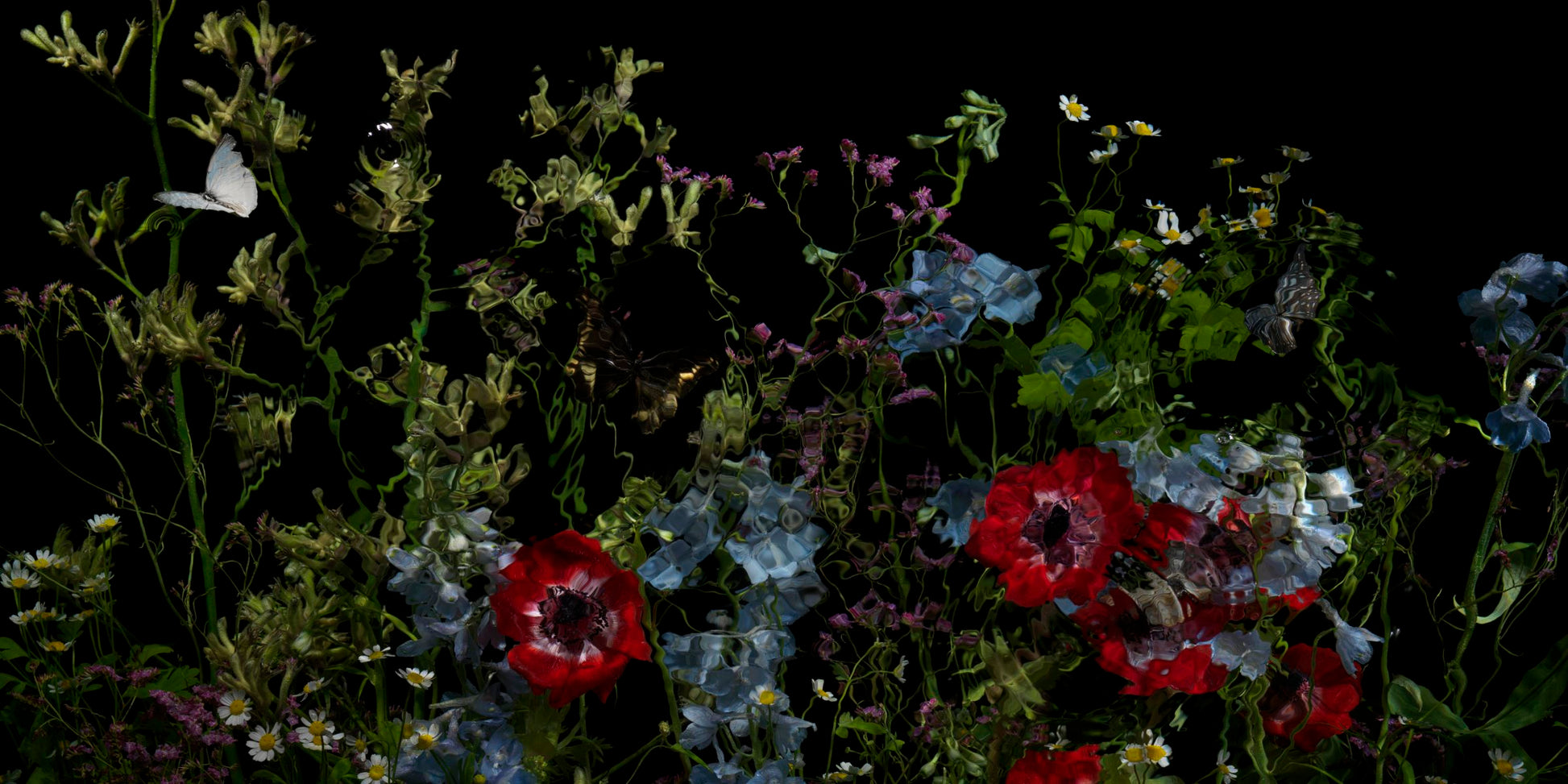 Riverbrook with peony detail by Alexander James Hamilton, analogue photograph produced through water and light, unique work, no digital post production
