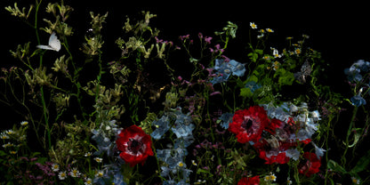 Riverbrook with peony detail by Alexander James Hamilton, analogue photograph produced through water and light, unique work, no digital post production