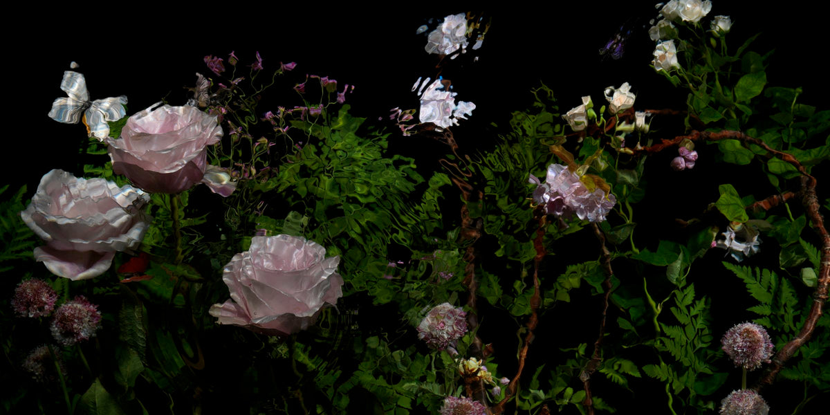 Riverbrook with roses detail by Alexander James Hamilton, analogue photograph produced through water and light, unique work, no digital post production