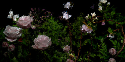 Riverbrook with roses detail by Alexander James Hamilton, analogue photograph produced through water and light, unique work, no digital post production