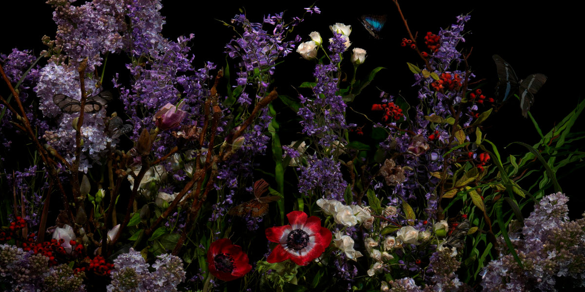 Riverbrook with violets detail by Alexander James Hamilton, analogue photograph produced through water and light, unique work, no digital post production