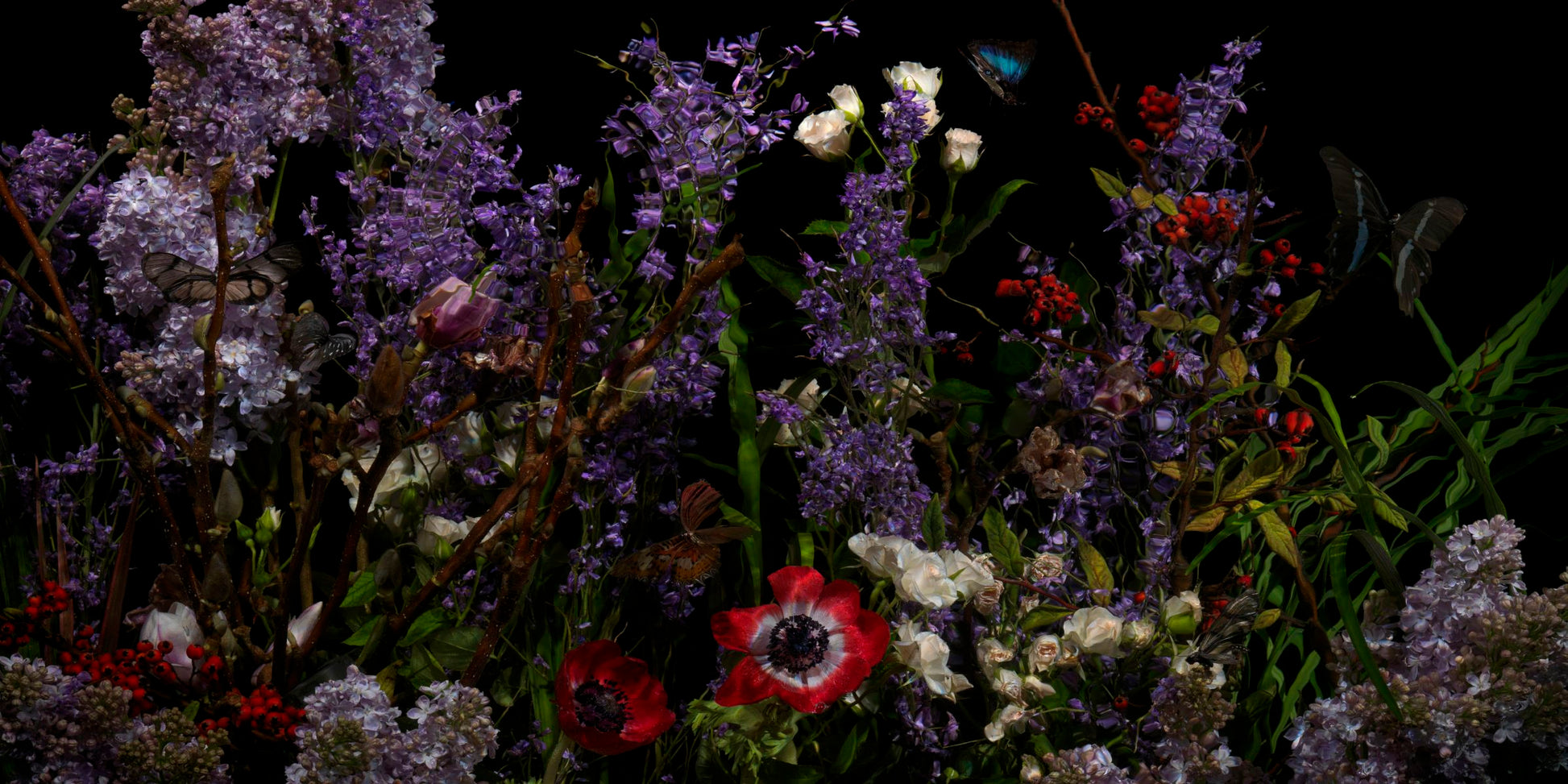 Riverbrook with violets detail by Alexander James Hamilton, analogue photograph produced through water and light, unique work, no digital post production