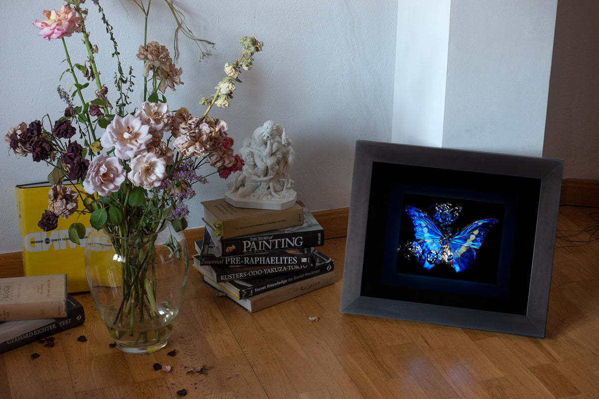 Studio installation view of Transparency of a dream - No I., underwater analogue butterfly photograph by Alexander James Hamilton