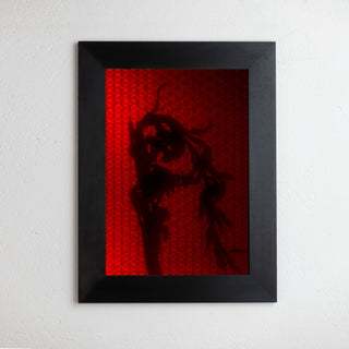 8 x 10 inch PhotoGram, Plate 0066, direct analogue PhotoGram by Alexander James Hamilton