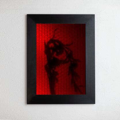 8 x 10 inch PhotoGram, Plate 0066