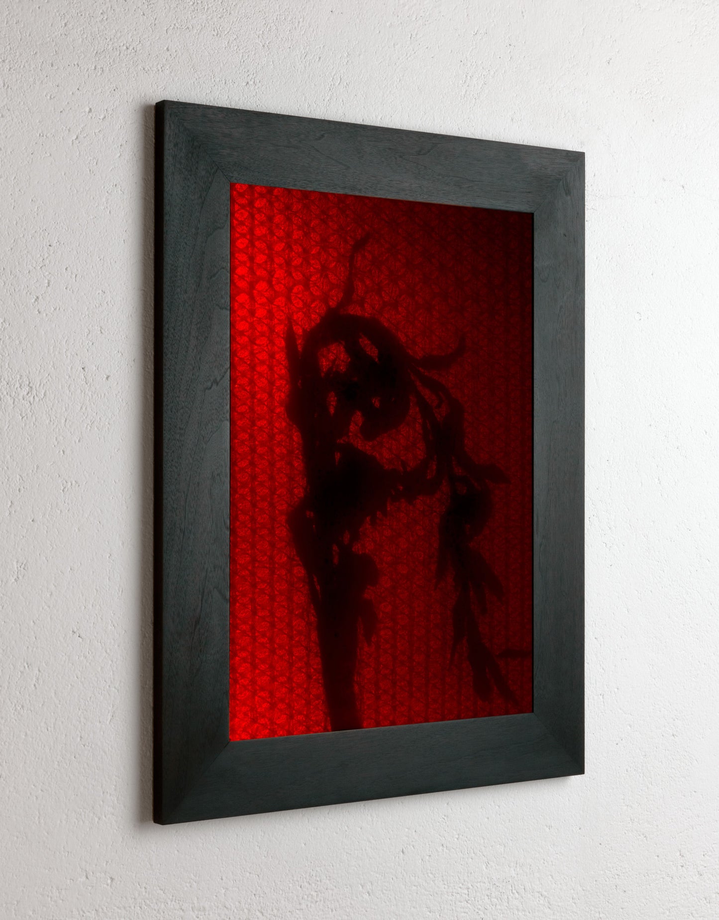 8 x 10 inch PhotoGram, Plate 0066