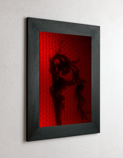 8 x 10 inch PhotoGram, Plate 0066