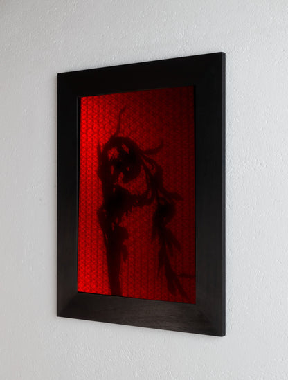 8 x 10 inch PhotoGram, Plate 0066